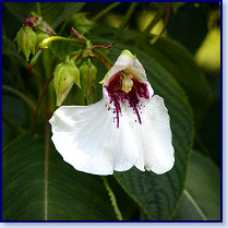 P6300057