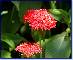 P6300059