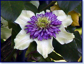 P6300060