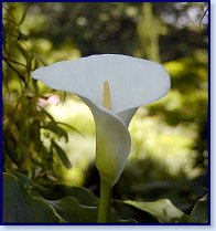 P6300078
