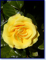 P6300085