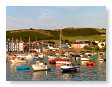Harbour evening sun  ab33
