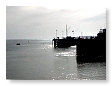 Aberdovy ADY8