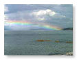 rainbow 08/04   NQ42