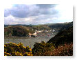 Fishguard Harbour at low tide FG3