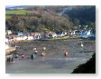 Fishguard Harbour at low tide FG2