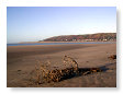 Ynyslas beach to Aberdovy 0