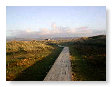 Ynyslas sand dunes walkway 1