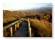 Ynyslas sand dunes walkway 0