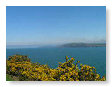 Dinas Island FG20