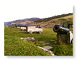 Fishguard Fort FG15