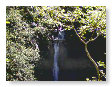 Devil's Bridge DB2