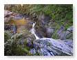 Devil's Bridge DB7