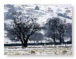 Around Machynlleth 1