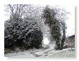 snow fall
