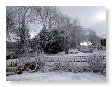 snow scenes 2