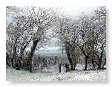 snow scenes 3