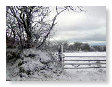 snow scenes 1