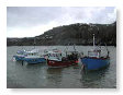 winter harbour