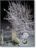 Night shots 002