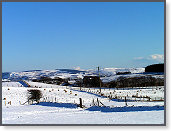 Snow near Trefenter