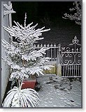 Night shots 003