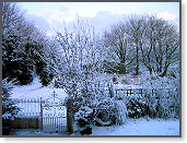 Early morning snow 001