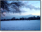 Early morning snow 003