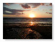 June Sunsets 031