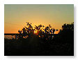 June Sunsets 005