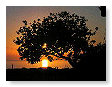 June Sunsets 001