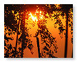 June Sunsets 006