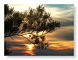 June Sunsets 020