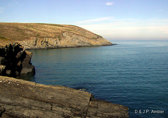 Cardigan island 7