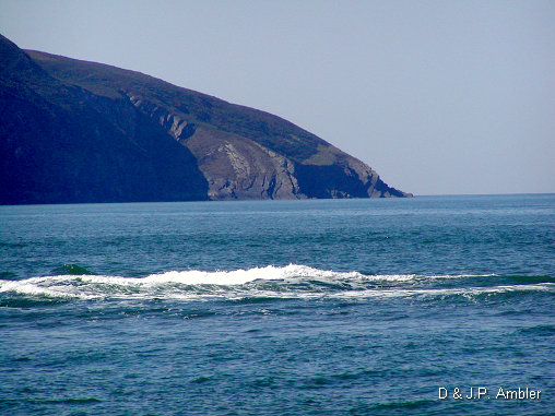 Cardigan island 4