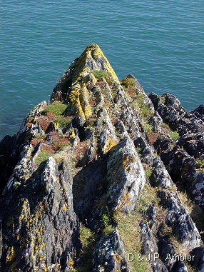 Cardigan island 5