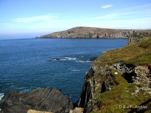 Cardigan island 1