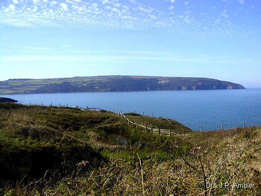 Cardigan island 2