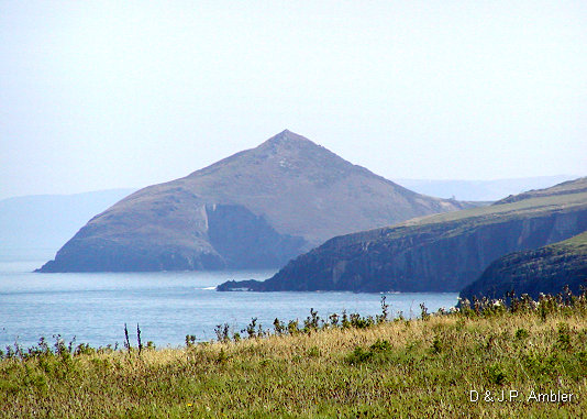 Mwnt