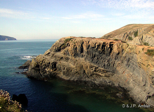 Cardigan island 8