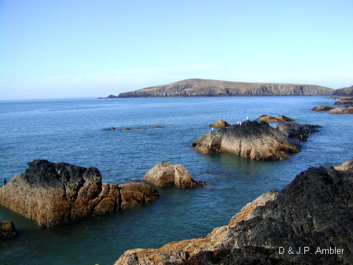 Cardigan island 13