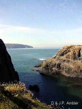 Cardigan island 9
