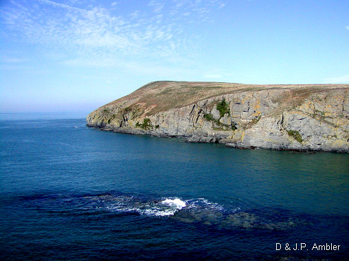 Cardigan island 10