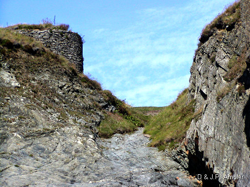 Cardigan island 20