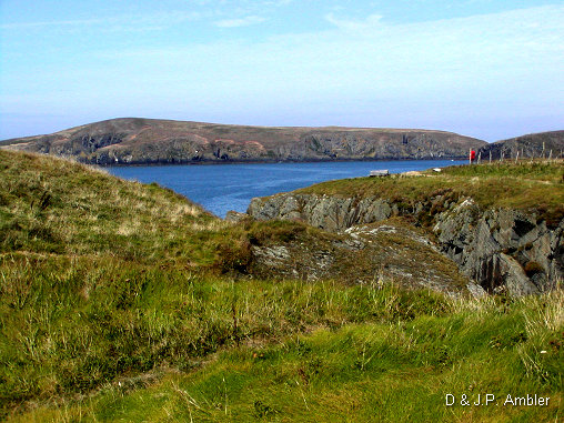 Cardigan island 19