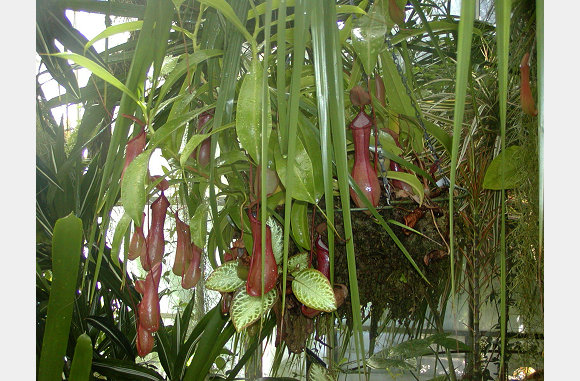 P6300008