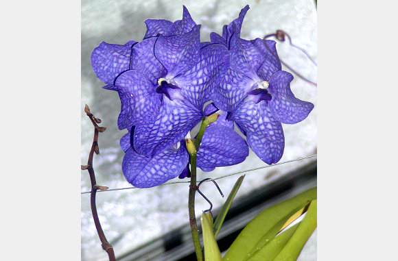 P6300009