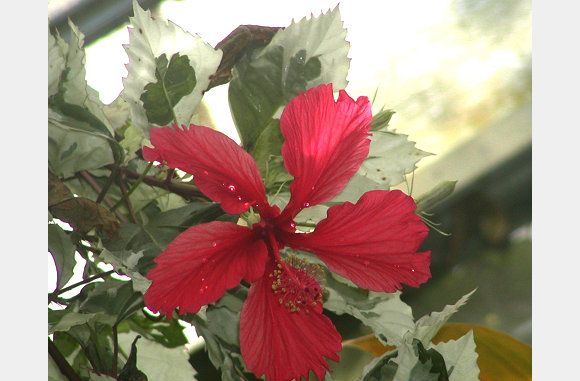 P6300010