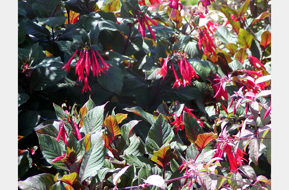 P6300027