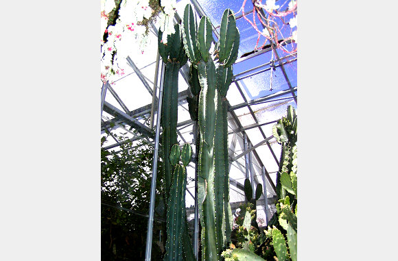 P6300036